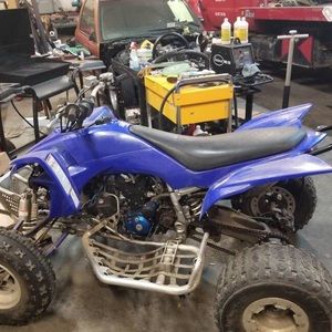 Meet your Posher, Jackson